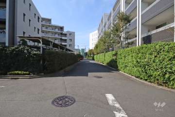 敷地北側の前面道路(東側から)