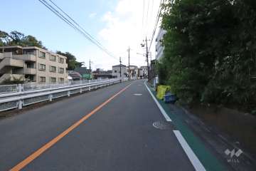敷地西側の前面道路(北側から)