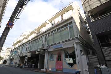 ラポール新丸子の外観(南東側から)
