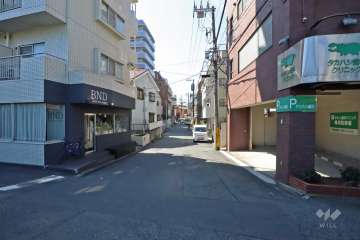 敷地北西側の前面道路（北東側から）