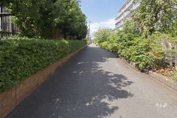 敷地北東側の前面道路（南東側から）