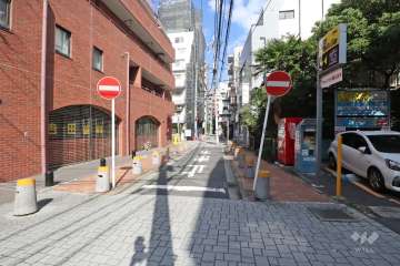 敷地東側の前面道路（南側から）