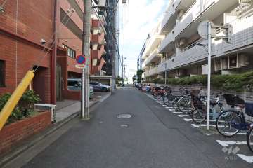 敷地北側の前面道路（東側から）