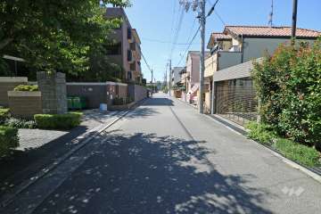 敷地北西側の前面道路（北側から）