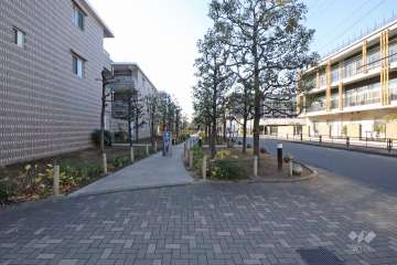 敷地北側の前面道路