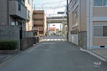 敷地の東側道路(北側から)