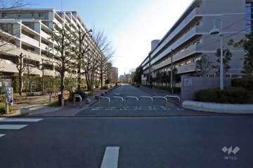 敷地西側の前面通路(北側から)