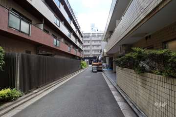 敷地北側の前面道路（西側から）