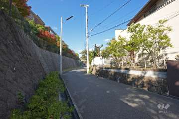 敷地東側の前面道路