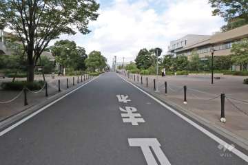 敷地西側の前面道路