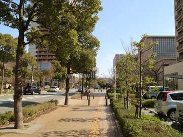敷地北側の前面道路（西側から）