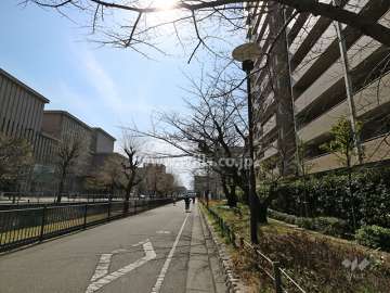 敷地東側の前面道路（北側から）