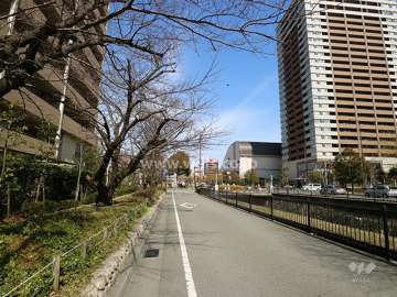 敷地東側の前面道路（南側から）