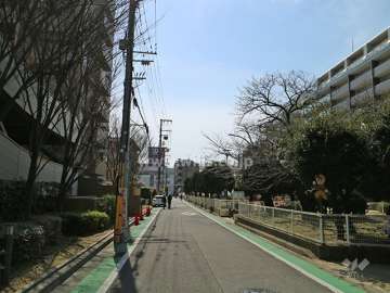 敷地西側の前面道路（北側から）