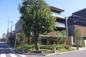 ザレジデンス小杉陣屋町の外観(北西側から)