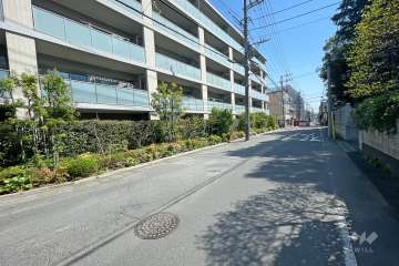 敷地南側の前面道路（西側から）