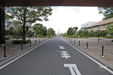 敷地東側の前面道路(南側から)