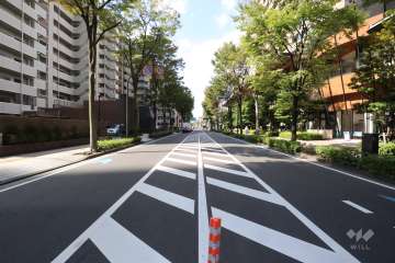 敷地南側の前面道路(東側から)