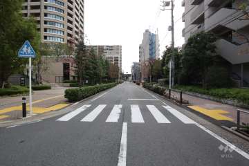 敷地西側の前面道路(北側から)