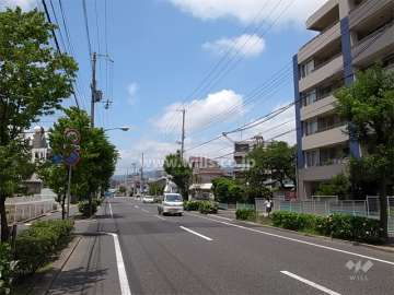 敷地の南側は街路樹がきれいな山手幹線に面しています。