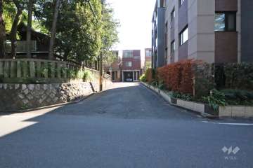 敷地東側の前面道路（北側から）