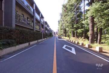 敷地北側の前面道路(東側から)