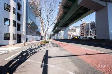 敷地東側の前面道路