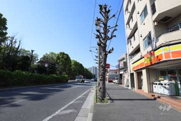 敷地西側の前面道路（南側から）