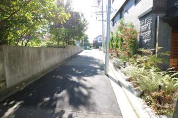 敷地東側の前面道路（北側から）