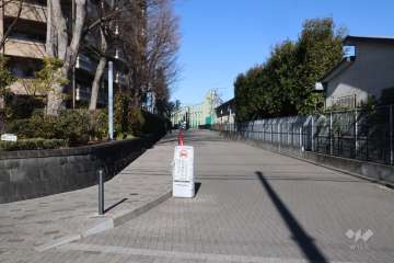 敷地の南東側前面道路(南西側から)