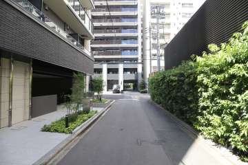 敷地北側の前面道路（東側から）