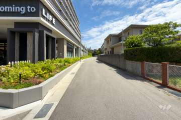 敷地南側の前面道路（西側から）
