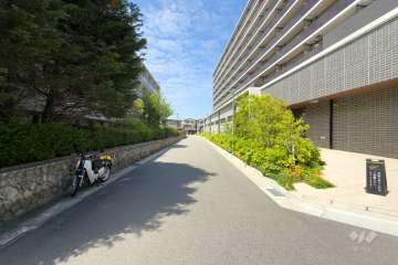敷地南側の前面道路（東側から）