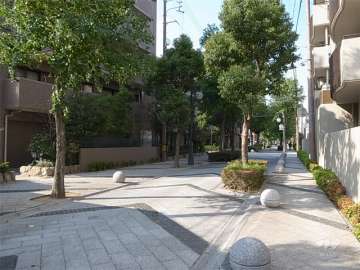 敷地東側の通りは街路樹がキレイです。