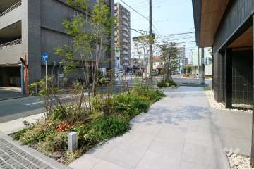 エントランス前の植栽スペース