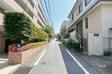 敷地の西側の前面道路（北側から）