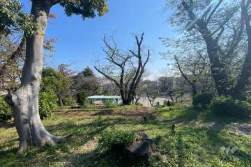 敷地に隣接する小台公園