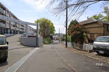 敷地西側の前面道路（北側から）