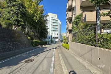 敷地西側の前面道路（南側から）