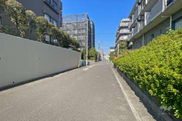 敷地東側の前面道路（南側から）