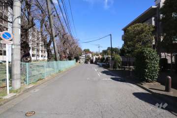 敷地北側の前面道路