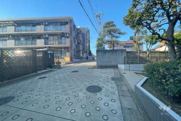 敷地西側の前面道路（南側から）