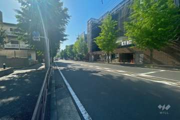 敷地北側の前面道路（西側から）