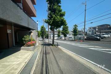 敷地南東側の前面道路（南西側から）