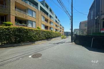 敷地南側の前面道路（西側から）