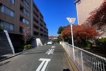 敷地東側の前面道路（南側から）