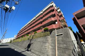 敷地南西側の前面道路（南東側から）