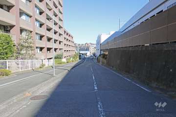 敷地南東側前面道路（南西側から）