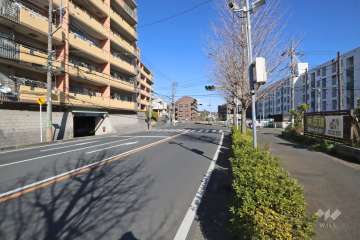 敷地南側の前面道路（西側から）