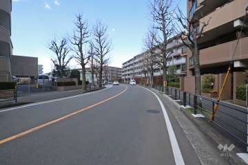 敷地西側の前面道路